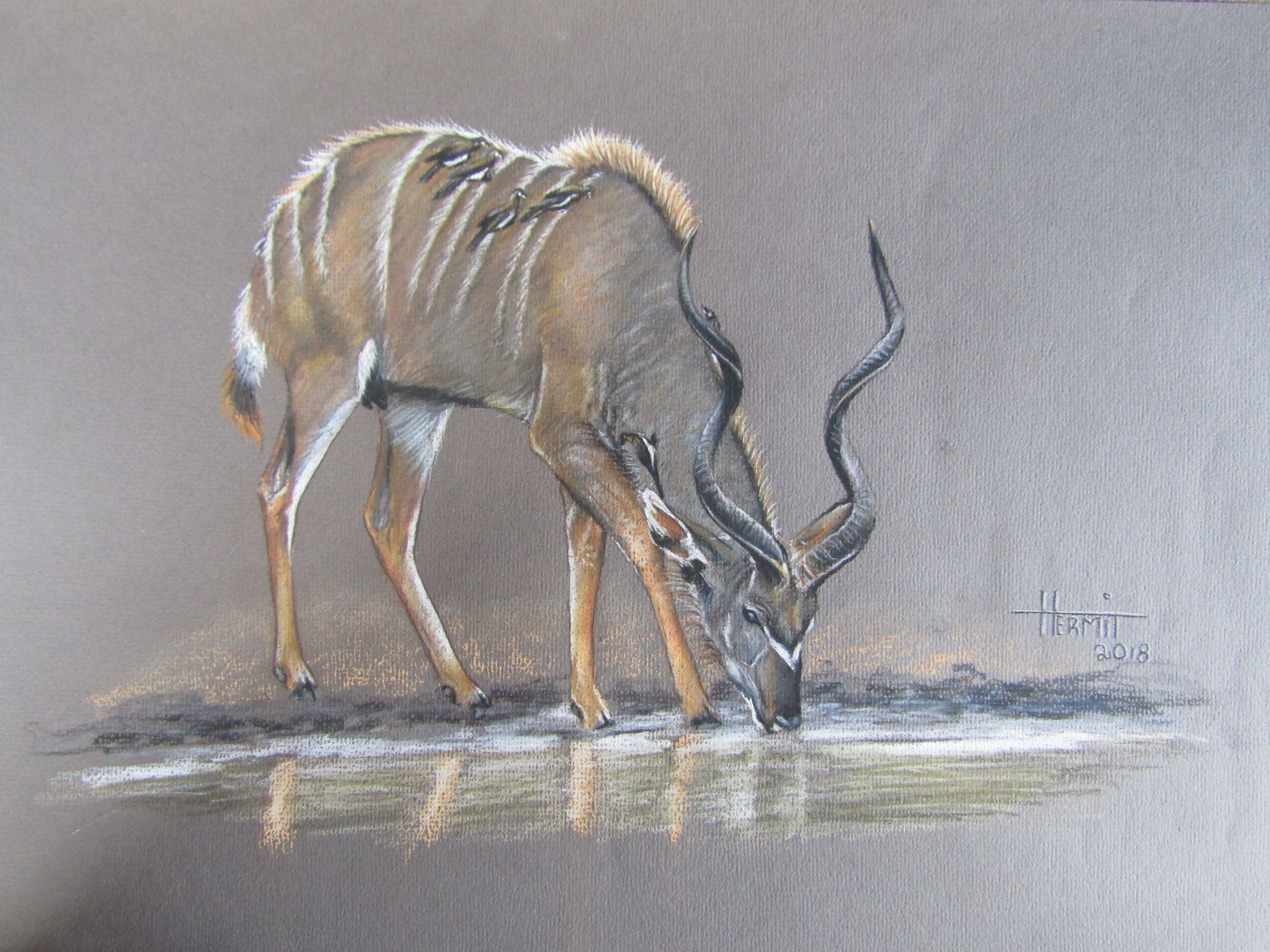 Kudu